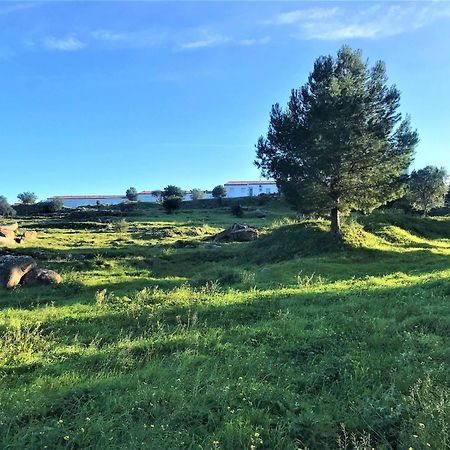 Apartamento En Roses Parking Y Piscina Comunitaria Av-54 Bagian luar foto