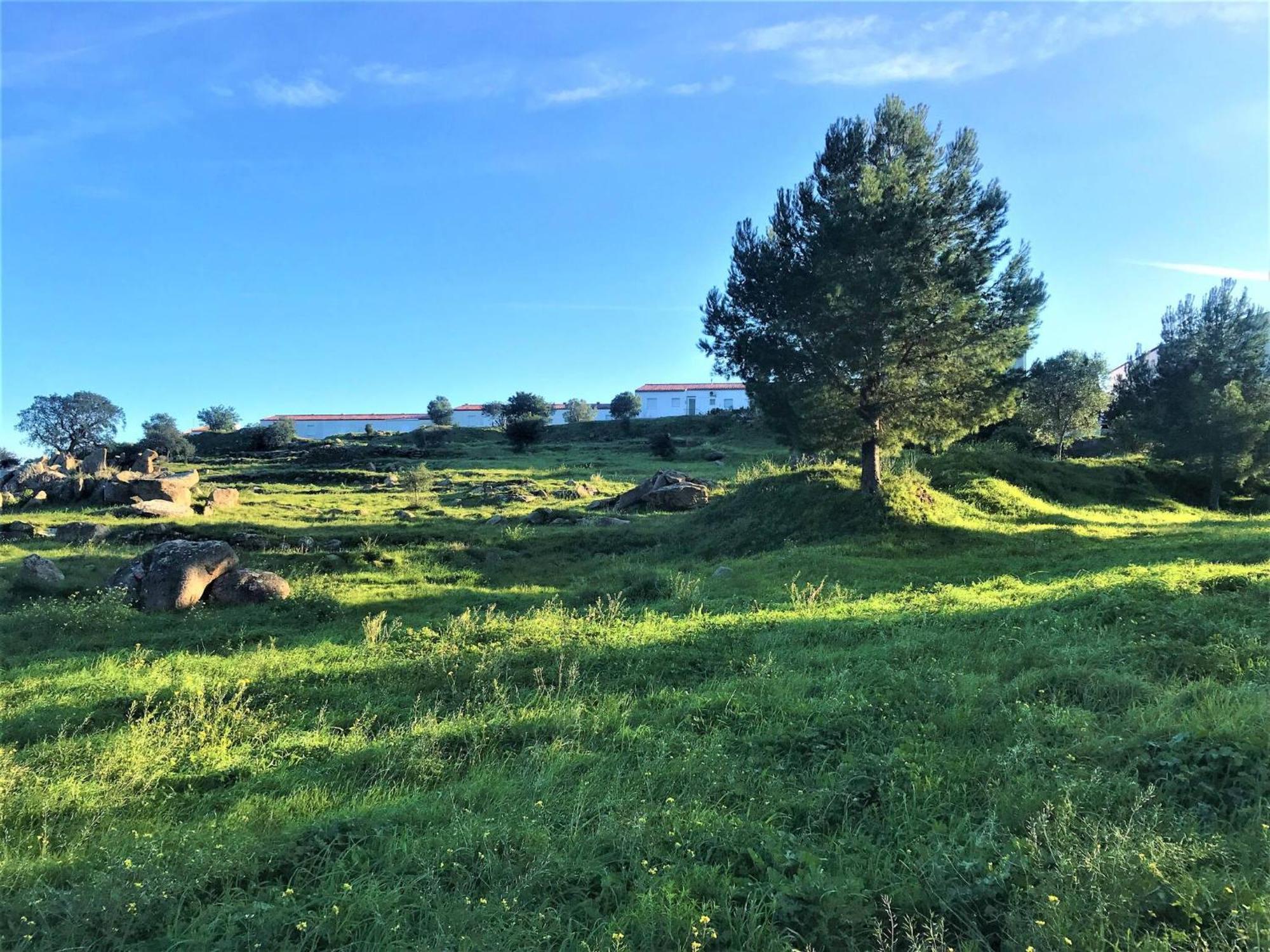 Apartamento En Roses Parking Y Piscina Comunitaria Av-54 Bagian luar foto