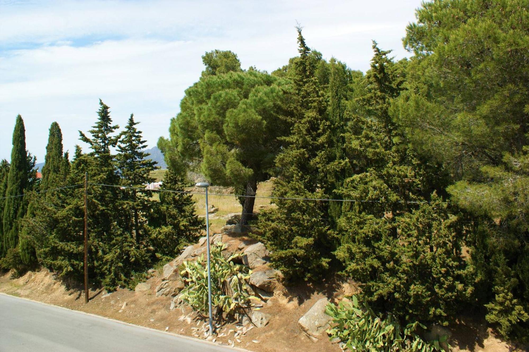 Apartamento En Roses Parking Y Piscina Comunitaria Av-54 Bagian luar foto